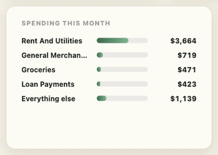 A month of spending broken down by category and sorted automatically: rent and utilities, general merchandise, groceries, loan payments